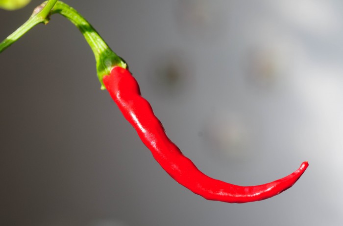 piment espelette